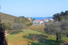Pogled-1